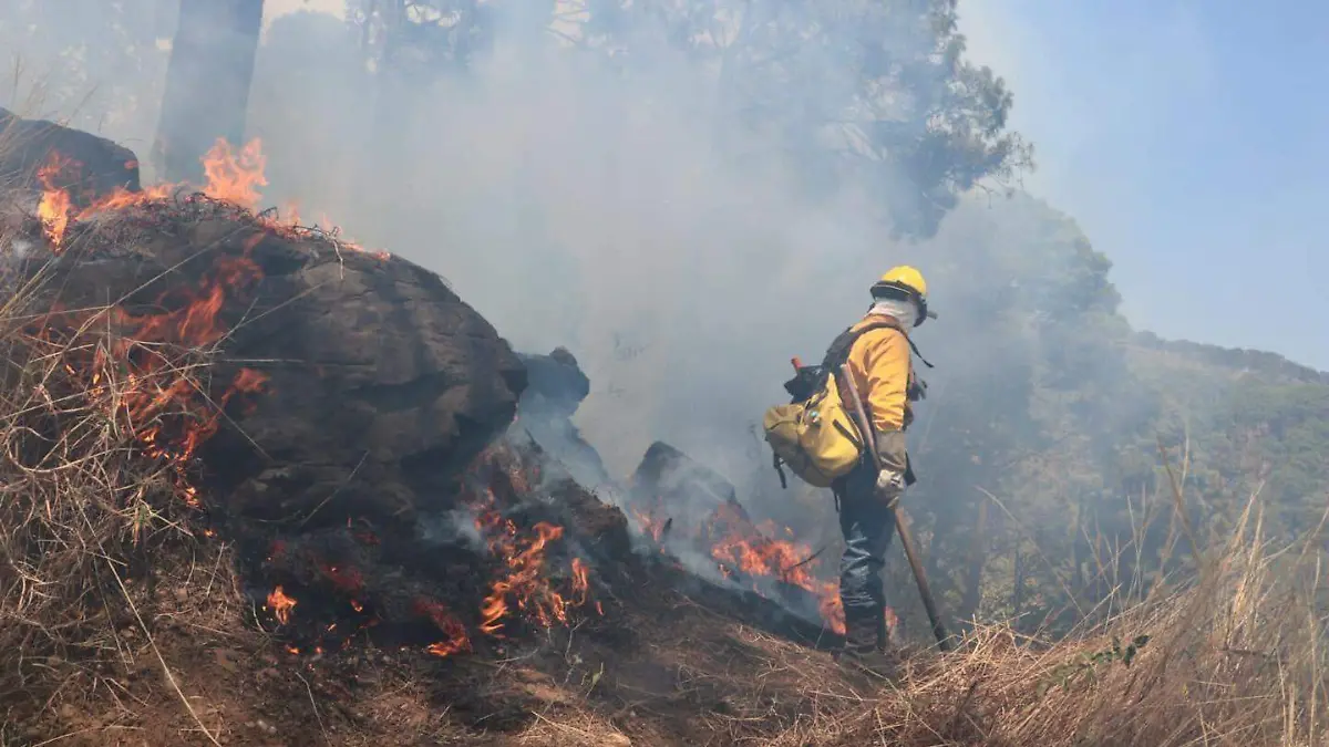 incendio forestal Uruapan